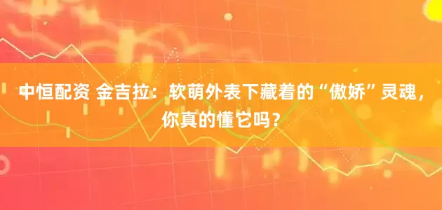 中恒配资 金吉拉：软萌外表下藏着的“傲娇”灵魂，你真的懂它吗？